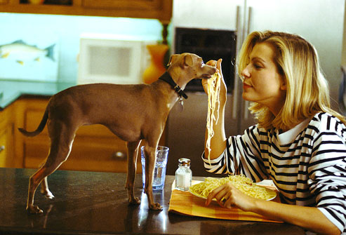 photolibrary_photo_of_woman_feeding_dog_pasta.jpg